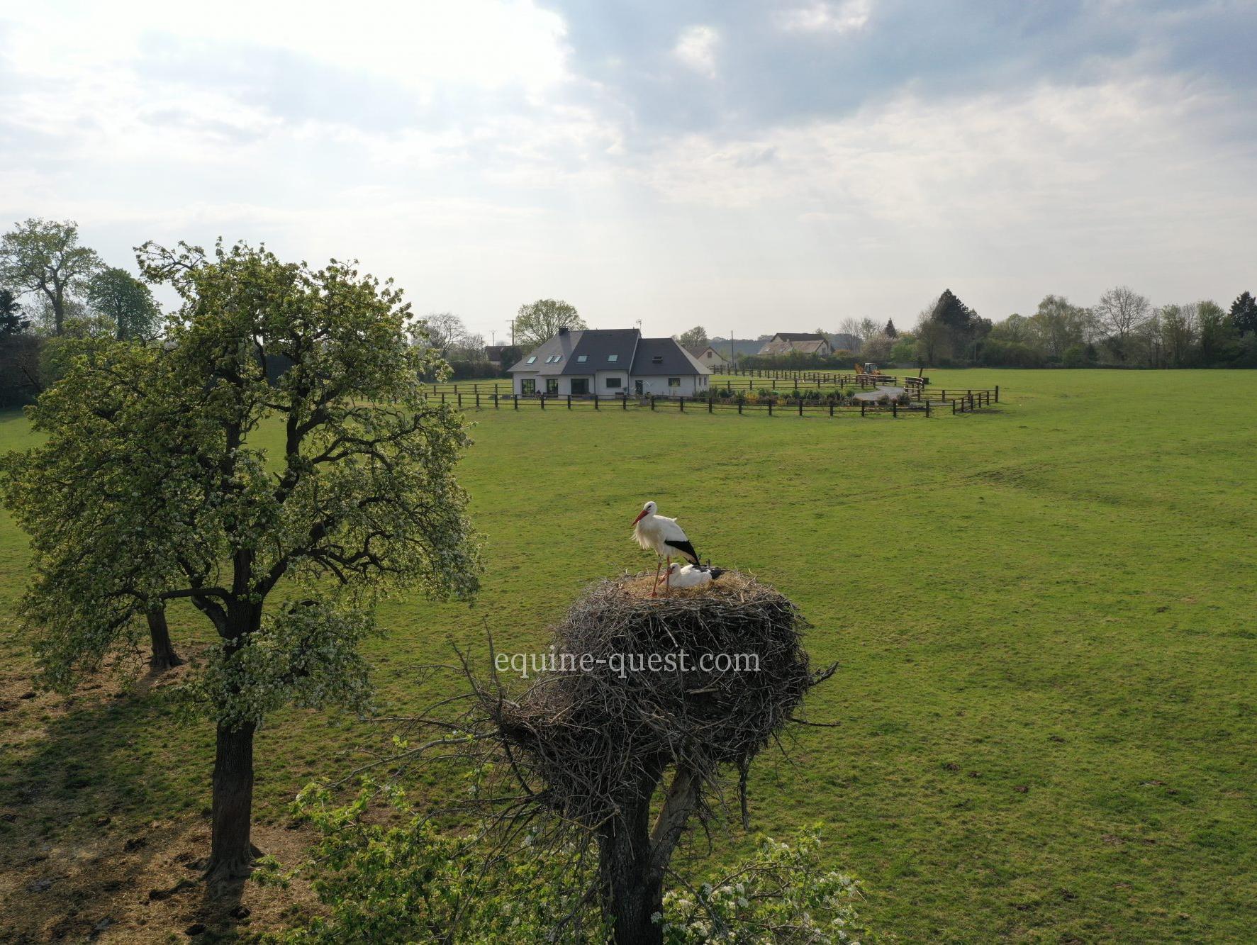 Stud farm property- Caen area- 40 hectares