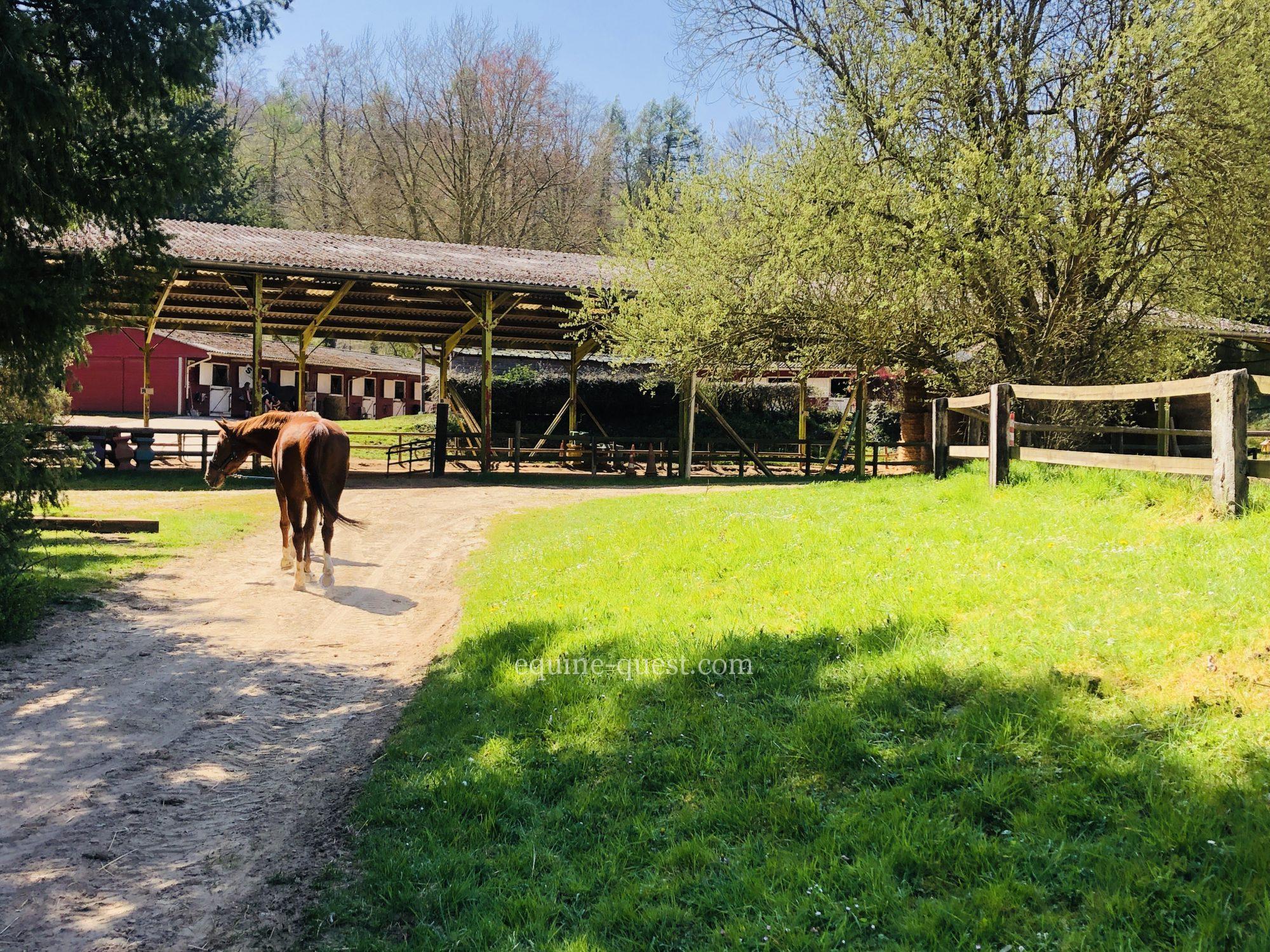 Equestrian property – Eure department – 15 hectares