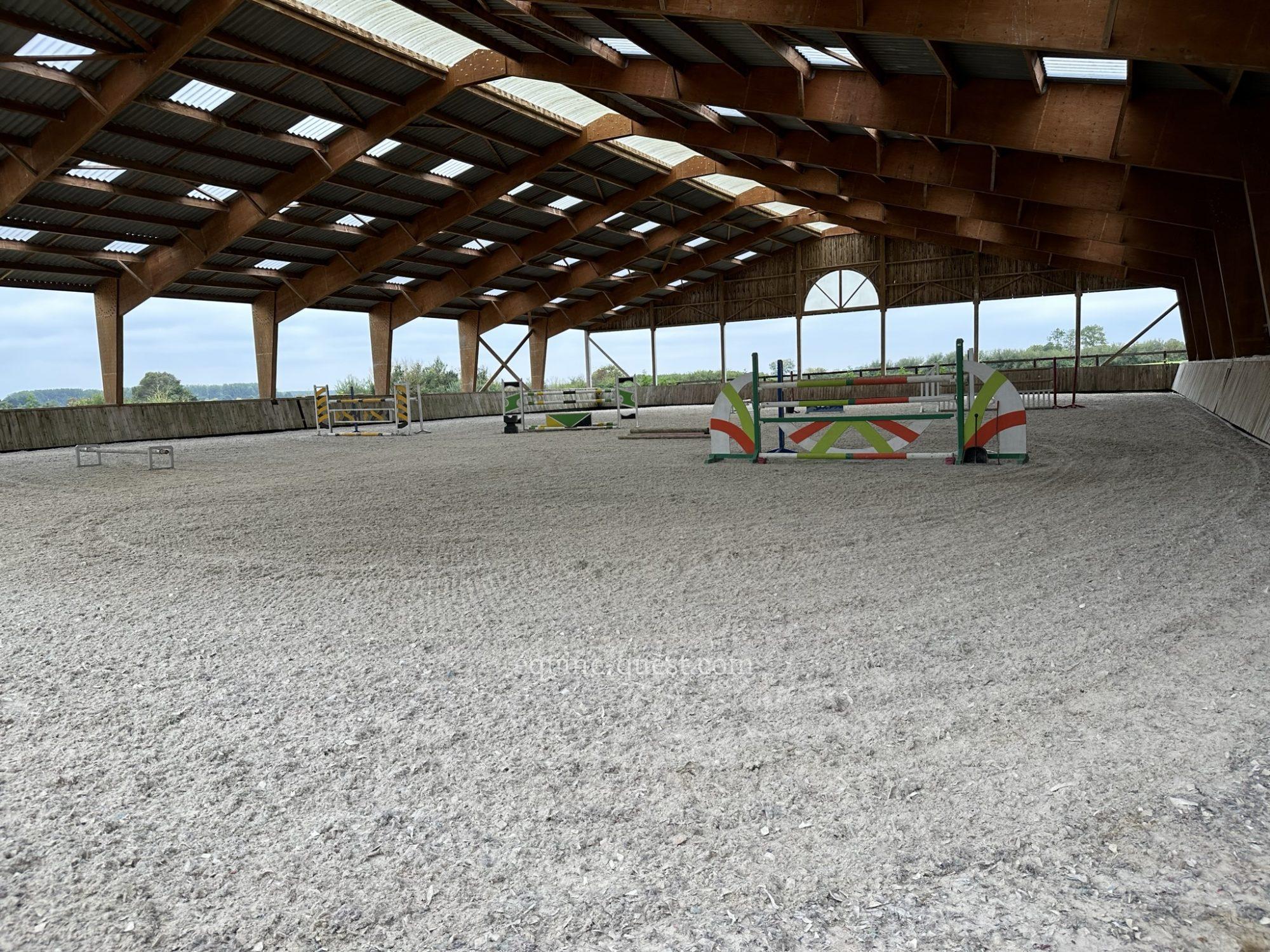 Normandy . Stud farm . Great potential for sport horses