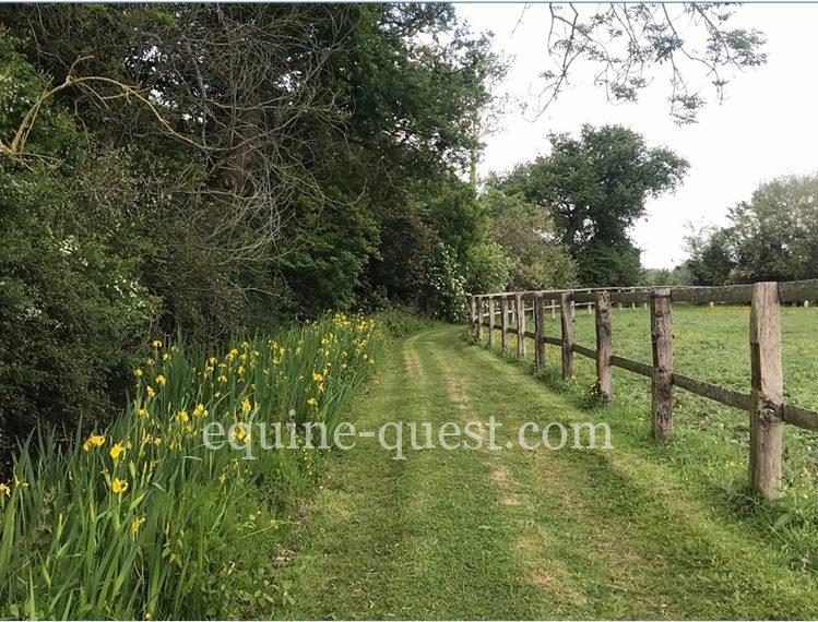 Normandie Pays d&rsquo;Auge : Propriété équestre 25 hectares