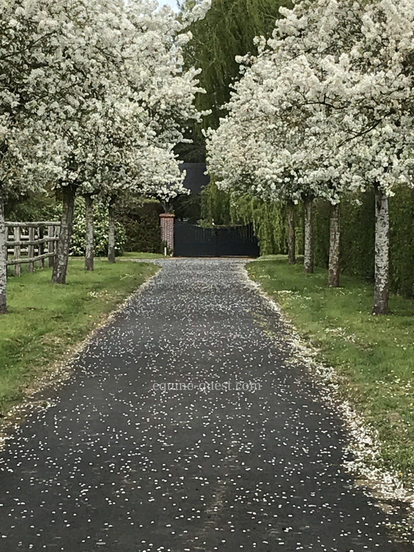 Normandie Pays d&rsquo;Auge : Propriété équestre 25 hectares
