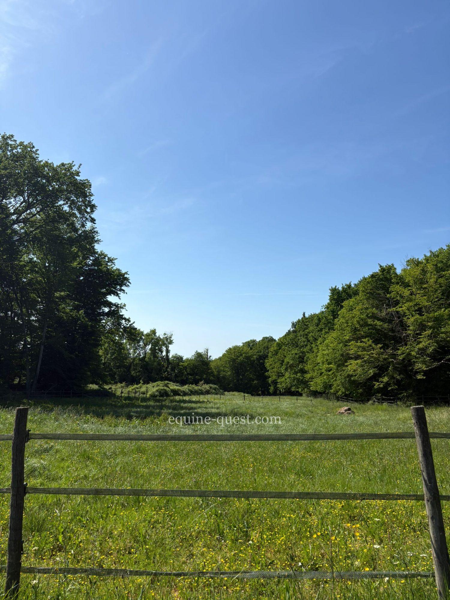 Nouvelle Aquitaine – Propriété équestre de qualité