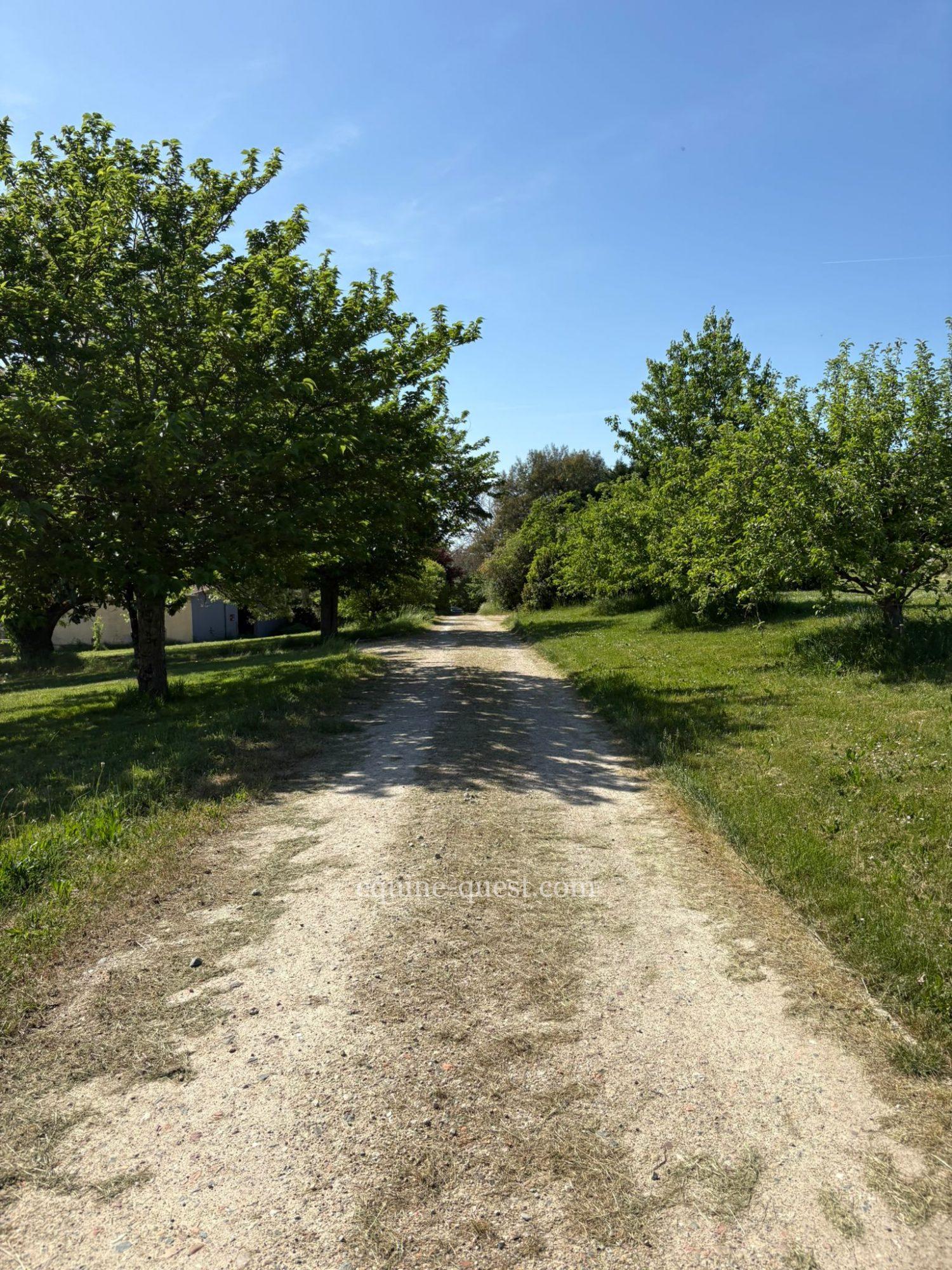 Nouvelle Aquitaine – Propriété équestre de qualité