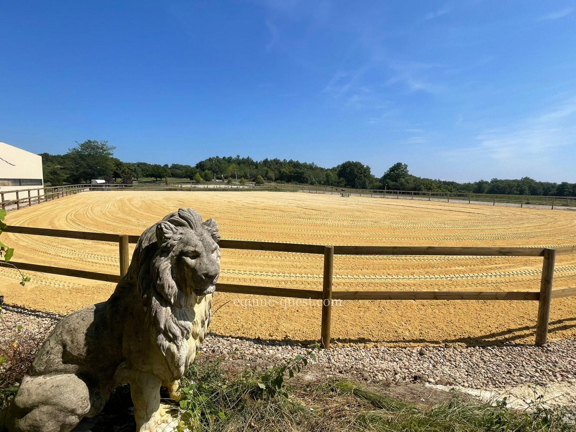 Nouvelle Aquitaine – Propriété équestre de qualité